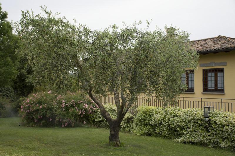 Agriturismo Scuderie Della Contea Sutri Exteriör bild